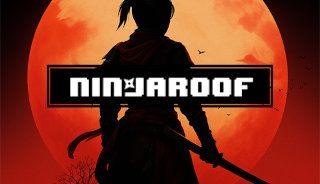 NinjaRoof