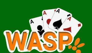 Wasp Solitaire