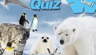 Animal Quiz