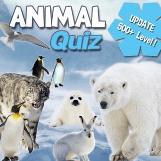 Jouer au Animal Quiz  🕹️ 🏖️