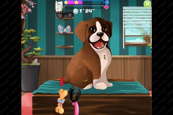 Cute Puppy Care 🕹️ 🏖️ | Free Skill Casual Browser Game - Image 1