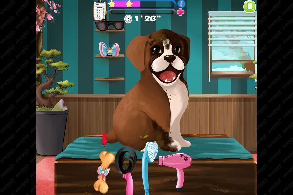 Cute Puppy Care 🕹️ 🏖️ | Free Skill Casual Browser Game - Image 2