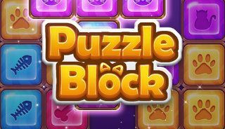 Puzzle Block