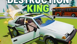 Car Destruction King